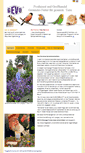 Mobile Screenshot of gevo-gmbh.info